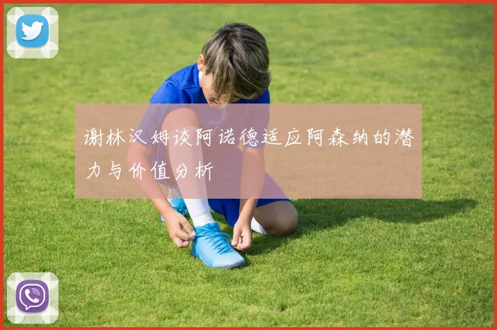 谢林汉姆谈阿诺德适应阿森纳的潜力与价值分析